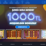 BayMavi casino sitesi